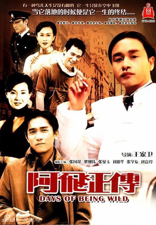 温彻斯特大学 Market Development Diploma